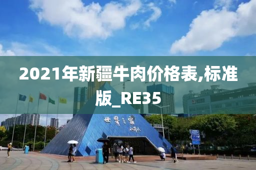 2021年新疆牛肉价格表,标准版_RE35