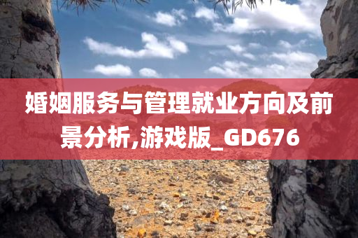 婚姻服务与管理就业方向及前景分析,游戏版_GD676