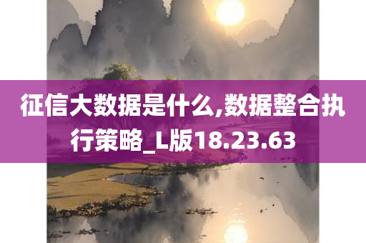 征信大数据是什么,数据整合执行策略_L版18.23.63