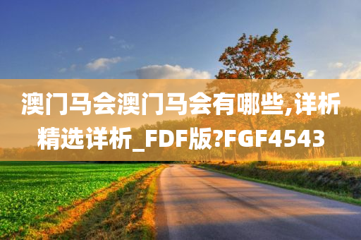 澳门马会澳门马会有哪些,详析精选详析_FDF版?FGF4543