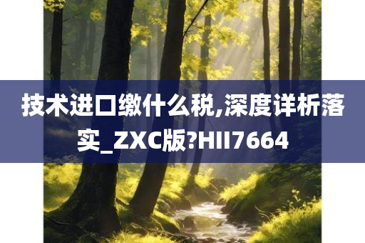 技术进口缴什么税,深度详析落实_ZXC版?HII7664