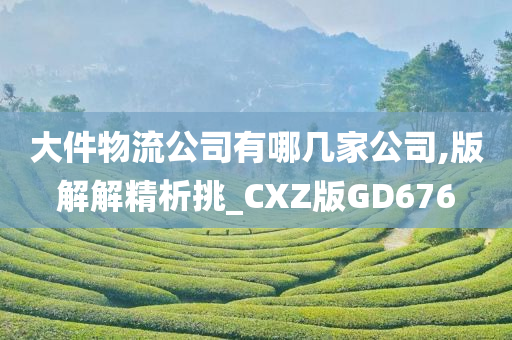 大件物流公司有哪几家公司,版解解精析挑_CXZ版GD676