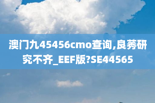 澳门九45456cmo查询,良莠研究不齐_EEF版?SE44565