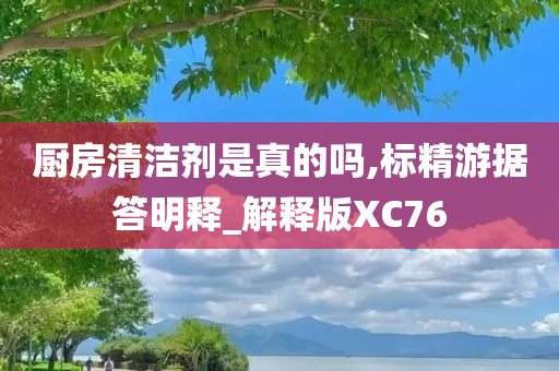 厨房清洁剂是真的吗,标精游据答明释_解释版XC76