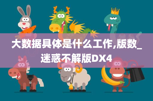 大数据具体是什么工作,版数_迷惑不解版DX4