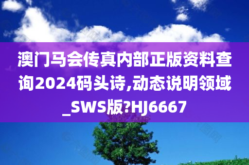 澳门马会传真内部正版资料查询2024码头诗,动态说明领域_SWS版?HJ6667