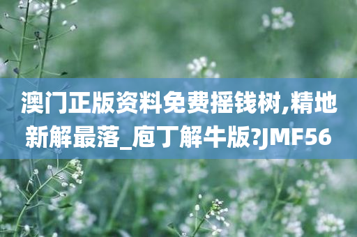 澳门正版资料免费摇钱树,精地新解最落_庖丁解牛版?JMF56