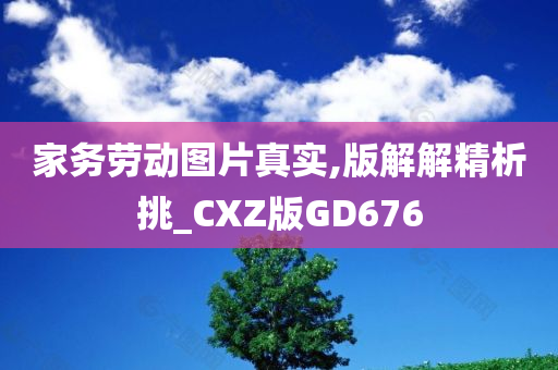 家务劳动图片真实,版解解精析挑_CXZ版GD676