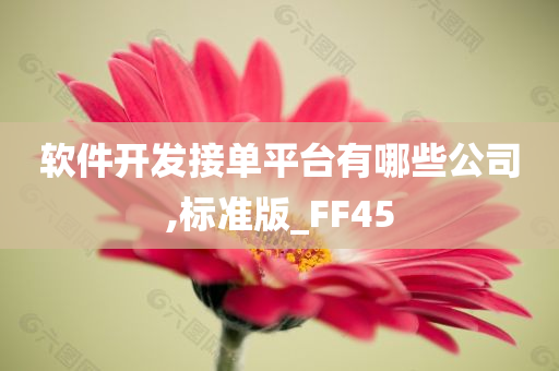 软件开发接单平台有哪些公司,标准版_FF45