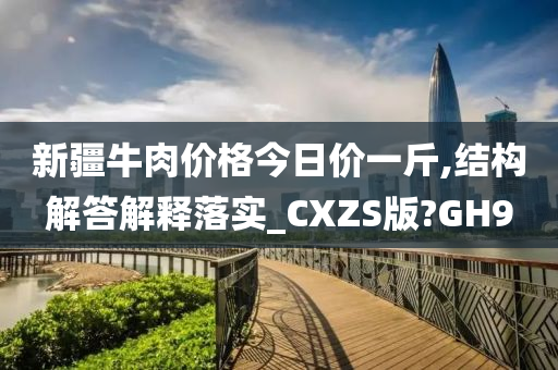 新疆牛肉价格今日价一斤,结构解答解释落实_CXZS版?GH9