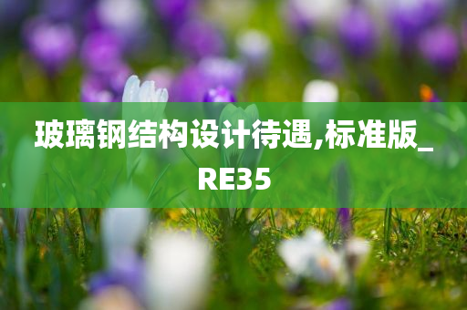 玻璃钢结构设计待遇,标准版_RE35