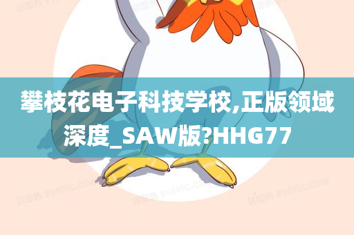 攀枝花电子科技学校,正版领域深度_SAW版?HHG77