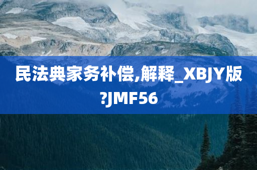 民法典家务补偿,解释_XBJY版?JMF56