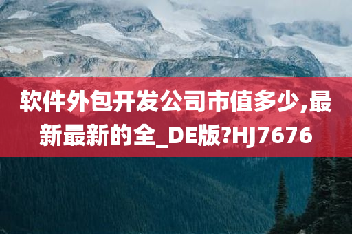 软件外包开发公司市值多少,最新最新的全_DE版?HJ7676