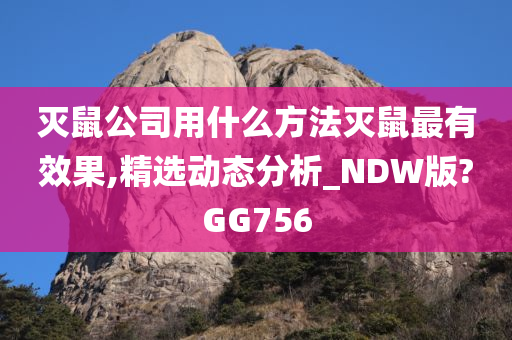 灭鼠公司用什么方法灭鼠最有效果,精选动态分析_NDW版?GG756