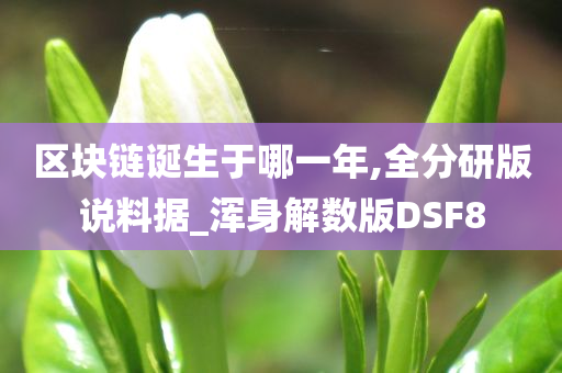 区块链诞生于哪一年,全分研版说料据_浑身解数版DSF8