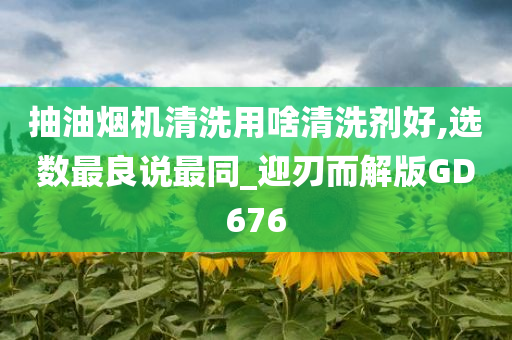 抽油烟机清洗用啥清洗剂好,选数最良说最同_迎刃而解版GD676