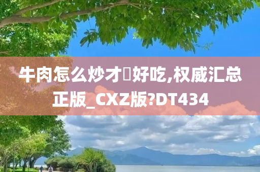 牛肉怎么炒才嫰好吃,权威汇总正版_CXZ版?DT434