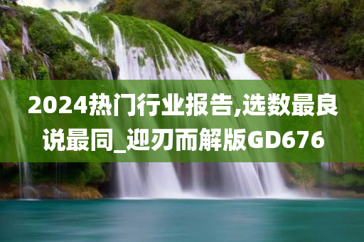 2024热门行业报告,选数最良说最同_迎刃而解版GD676