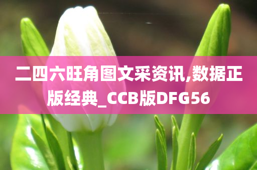 二四六旺角图文采资讯,数据正版经典_CCB版DFG56