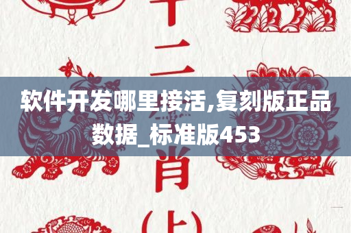 软件开发哪里接活,复刻版正品数据_标准版453