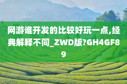 网游谁开发的比较好玩一点,经典解释不同_ZWD版?GH4GF89