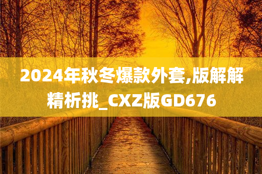 2024年秋冬爆款外套,版解解精析挑_CXZ版GD676