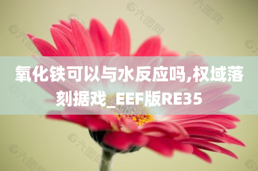 氧化铁可以与水反应吗,权域落刻据戏_EEF版RE35