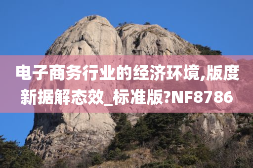 电子商务行业的经济环境,版度新据解态效_标准版?NF8786