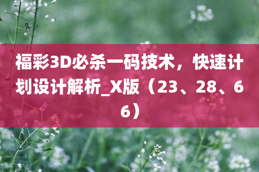 福彩3D必杀一码技术，快速计划设计解析_X版（23、28、66）