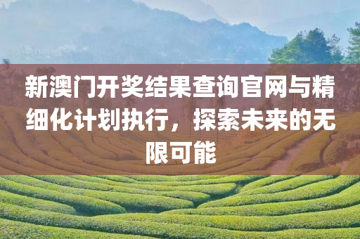 新澳门开奖结果查询官网与精细化计划执行，探索未来的无限可能