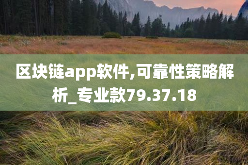 区块链app软件,可靠性策略解析_专业款79.37.18