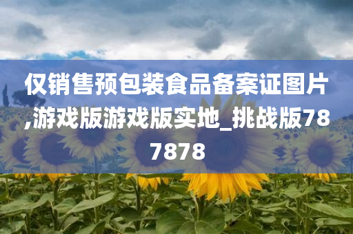 仅销售预包装食品备案证图片,游戏版游戏版实地_挑战版787878