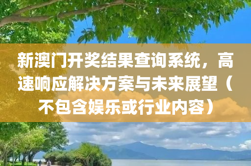 新澳门开奖结果查询系统，高速响应解决方案与未来展望（不包含娱乐或行业内容）