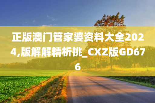 正版澳门管家婆资料大全2024,版解解精析挑_CXZ版GD676