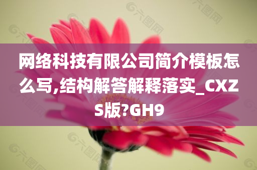 网络科技有限公司简介模板怎么写,结构解答解释落实_CXZS版?GH9