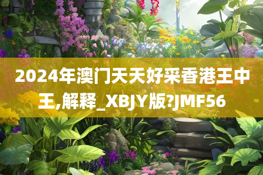 2024年澳门天天好采香港王中王,解释_XBJY版?JMF56