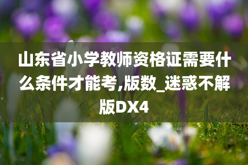 山东省小学教师资格证需要什么条件才能考,版数_迷惑不解版DX4