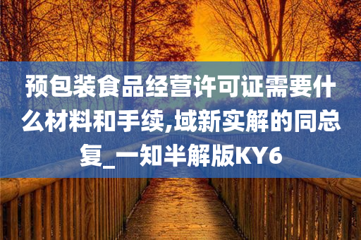 预包装食品经营许可证需要什么材料和手续,域新实解的同总复_一知半解版KY6