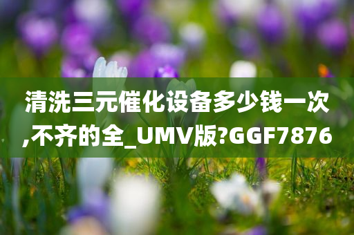 清洗三元催化设备多少钱一次,不齐的全_UMV版?GGF7876