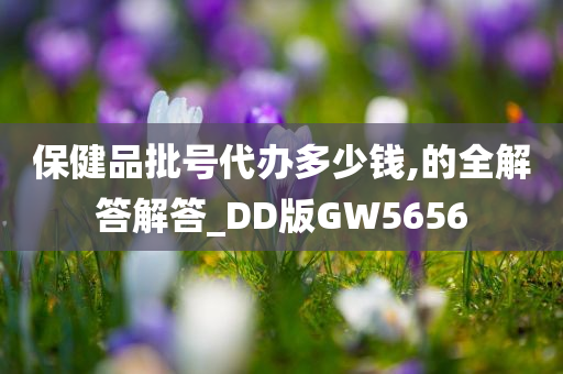 保健品批号代办多少钱,的全解答解答_DD版GW5656