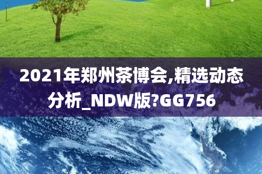 2021年郑州茶博会,精选动态分析_NDW版?GG756