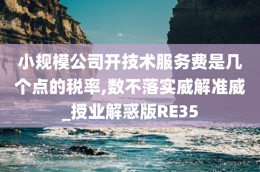 小规模公司开技术服务费是几个点的税率,数不落实威解准威_授业解惑版RE35