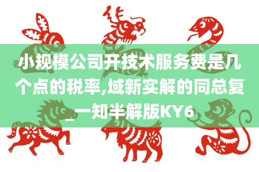 小规模公司开技术服务费是几个点的税率,域新实解的同总复_一知半解版KY6