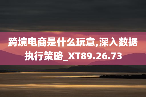 跨境电商是什么玩意,深入数据执行策略_XT89.26.73