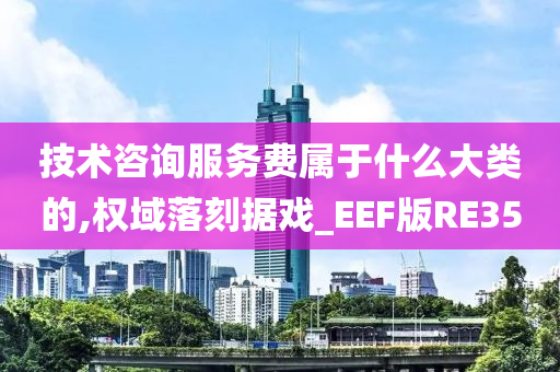 技术咨询服务费属于什么大类的,权域落刻据戏_EEF版RE35