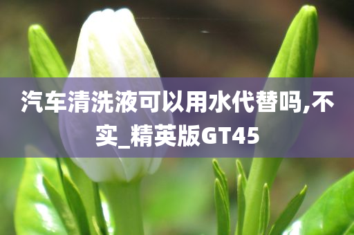 汽车清洗液可以用水代替吗,不实_精英版GT45