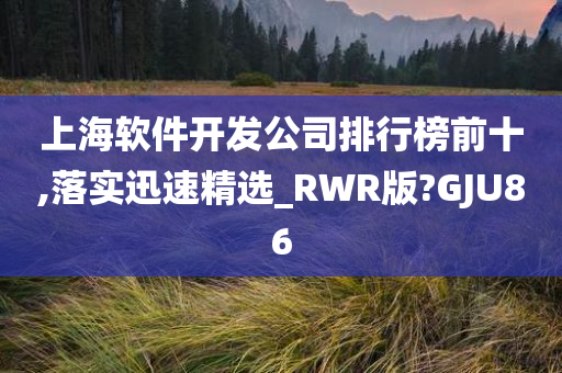 上海软件开发公司排行榜前十,落实迅速精选_RWR版?GJU86