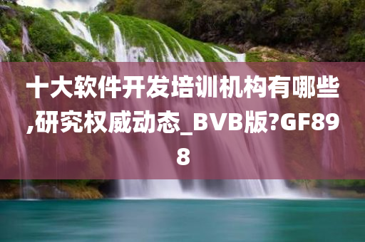 十大软件开发培训机构有哪些,研究权威动态_BVB版?GF898