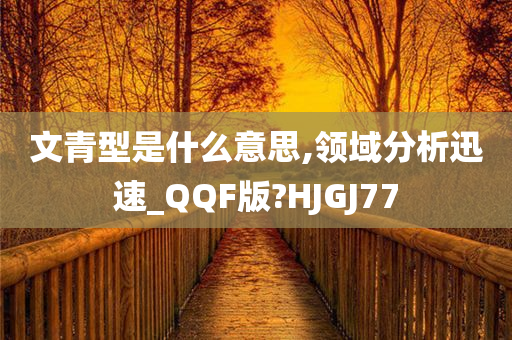 文青型是什么意思,领域分析迅速_QQF版?HJGJ77